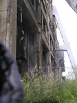 P8090099