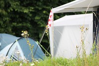 IMG_0377