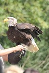 IMG_2374