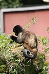 IMG_2400