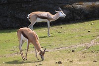 IMG_2413