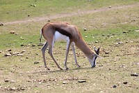 IMG_2416