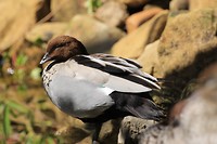 IMG_2439