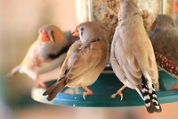 IMG_2443