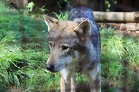 IMG_2455