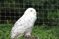 IMG_2456