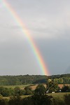 IMG_2498