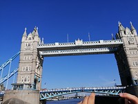 IMG_20190722_175310