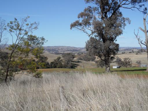 lachlan valley