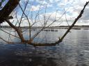 dangar lagoon