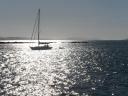 cruise long island