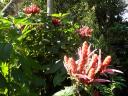 botanische tuin