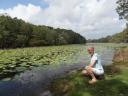lagoon met waterlelies