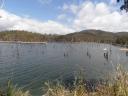 lake tinaroo