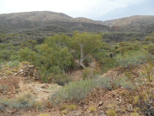 arrernte trail naar Inarlanga pass