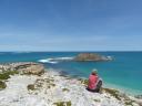 royston head