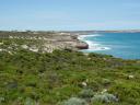 royston head