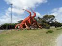 kingston lobster