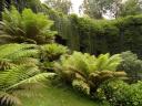 mount gambier /tuin