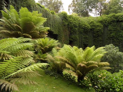 mount gambier /tuin