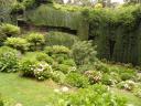 mount gambier /tuin