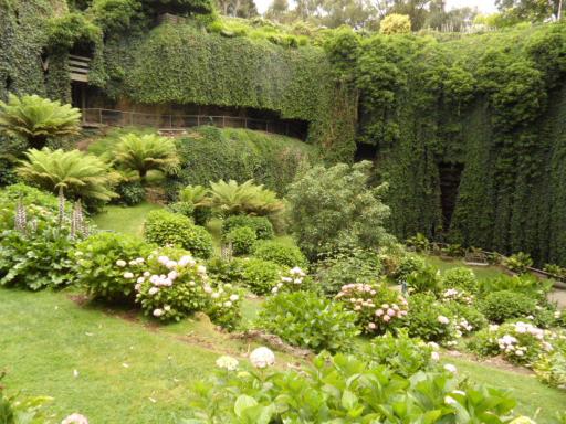 mount gambier /tuin