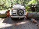 great otway np