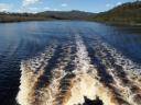 Strahan cruise