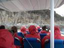 Bruny island cruise