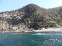 Bruny island cruise