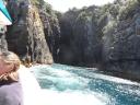 Bruny island cruise