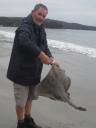 stingray