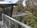 franklin, tahune airwalk