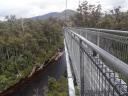 franklin, tahune airwalk