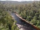 franklin, tahune airwalk