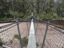swinging bridge
