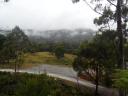 Mt.Field np