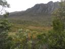 Mt.Field np