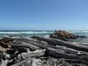 arthur river the edge of the world