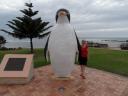 penquin