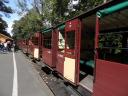 Dandenongs