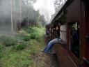 Dandenongs