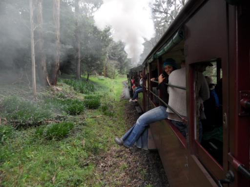 Dandenongs