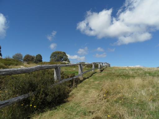 Mount Stirling  Graigs Hut
