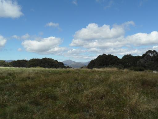 Mount Stirling  Graigs Hut