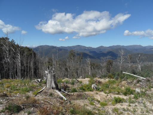 Mount Stirling
