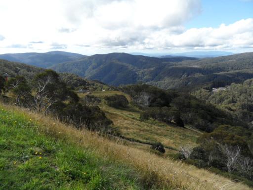 Mt.Buller