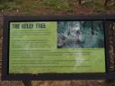 Ned Kelly place