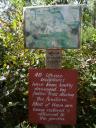 Marysville Bruno's tuin