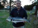 Seaspray zalm van 70cm